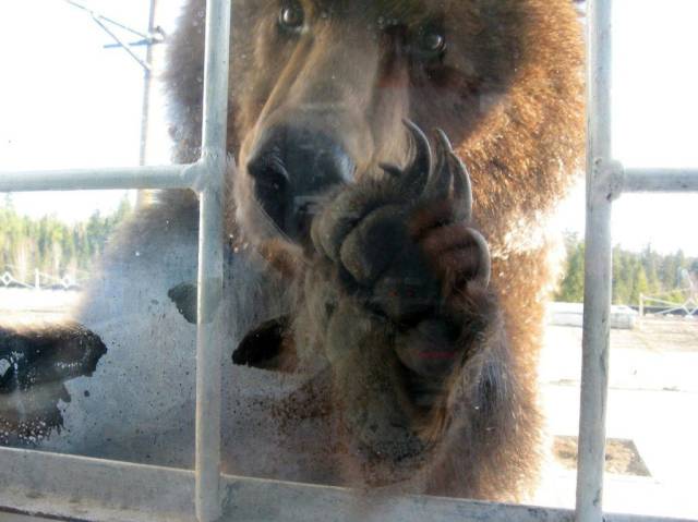 daily picdump 93 pics 35.html - 93 HD Photos | Premium Gallery 2016