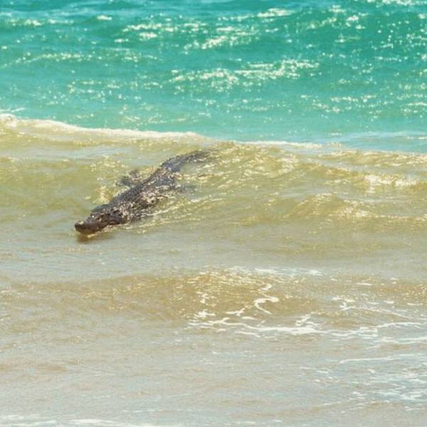 daily picdump 93 pics 35.html - 93 HD Photos | Premium Gallery 2016