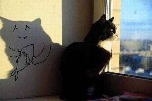 daily picdump 93 pics 35.html - 93 HD Photos | Premium Gallery 2016