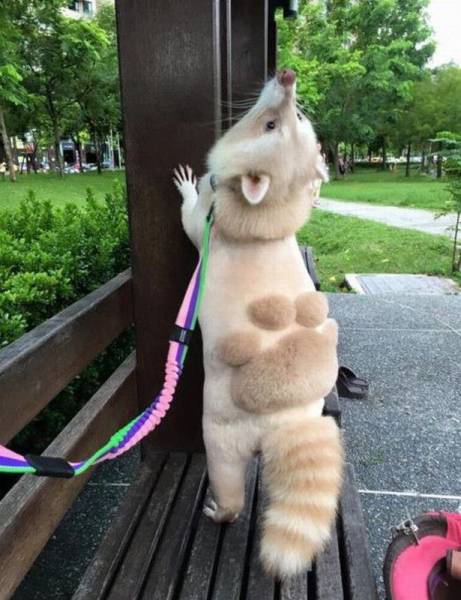 daily picdump 93 pics 35.html - 93 HD Photos | Premium Gallery 2016