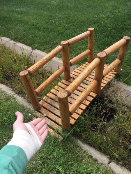 morning picdump 53 pics 27.html - 53 HD Photos | Premium Gallery 2016