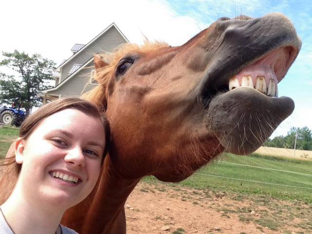 morning picdump 52 pics 14.html - 52 HD Photos | Premium Gallery 2016