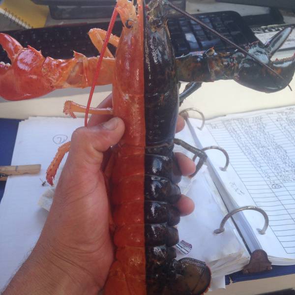 morning picdump 52 pics 14.html - 52 HD Photos | Premium Gallery 2016