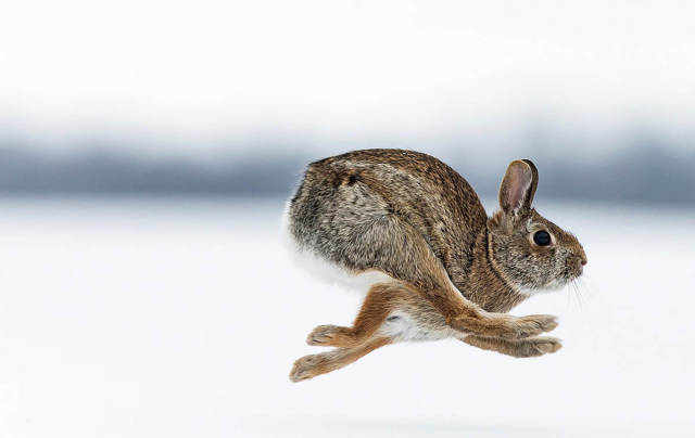 Daily Picdump [WEEKEND EDITION]