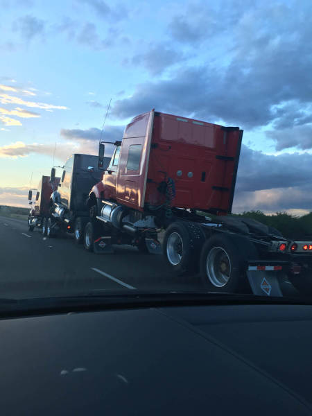 daily picdump weekend edition 56 pics 17.html - 56 HD Photos | Premium Gallery 2016