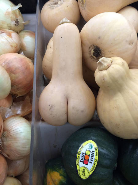 daily picdump weekend edition 56 pics 17.html - 56 HD Photos | Premium Gallery 2016