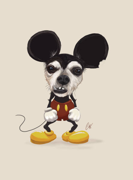 daily picdump weekend edition 56 pics 17.html - 56 HD Photos | Premium Gallery 2016