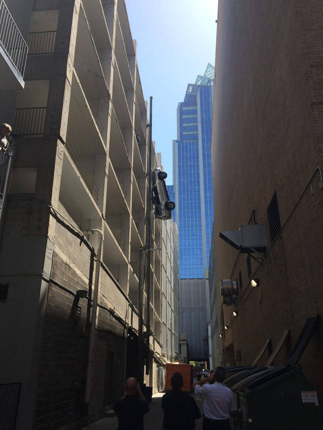 daily picdump weekend edition 56 pics 17.html - 56 HD Photos | Premium Gallery 2016