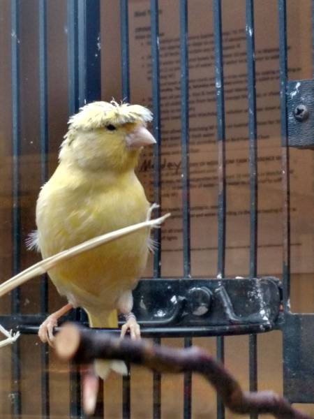 daily picdump 93 pics 33.html - 93 HD Photos | Premium Gallery 2016