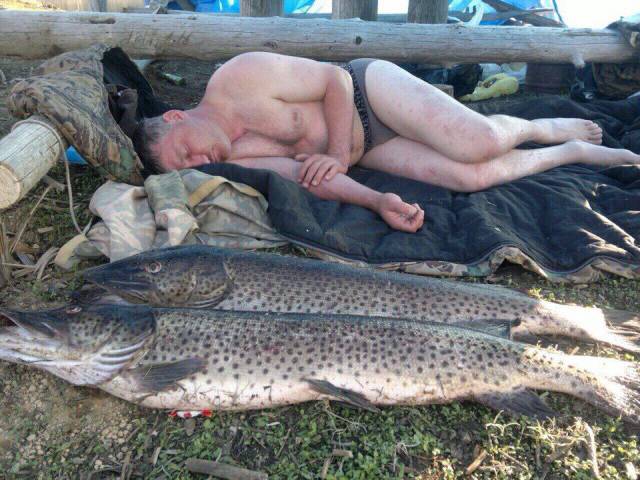 daily picdump 93 pics 33.html - 93 HD Photos | Premium Gallery 2016