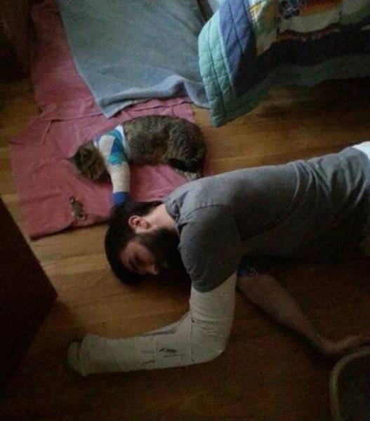 daily picdump 93 pics 33.html - 93 HD Photos | Premium Gallery 2016