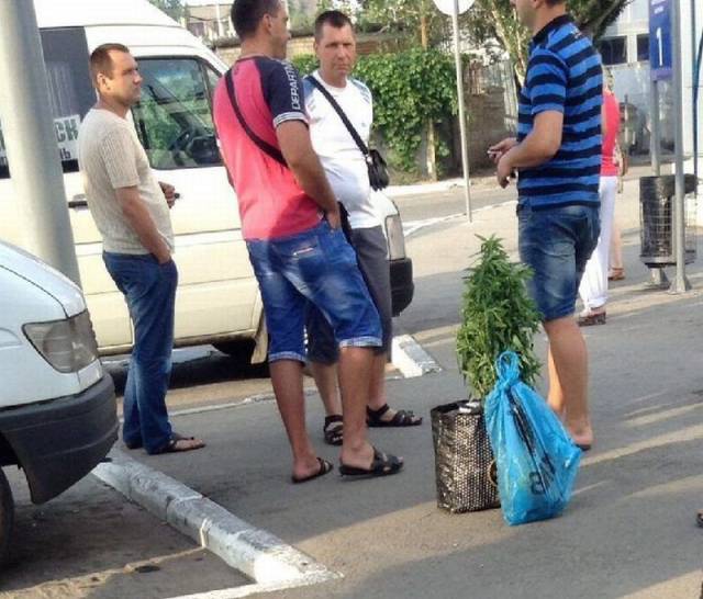 daily picdump 93 pics 33.html - 93 HD Photos | Premium Gallery 2016