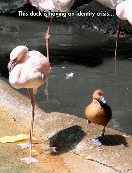 daily picdump 93 pics 45.html - 93 HD Photos | Premium Gallery 2016