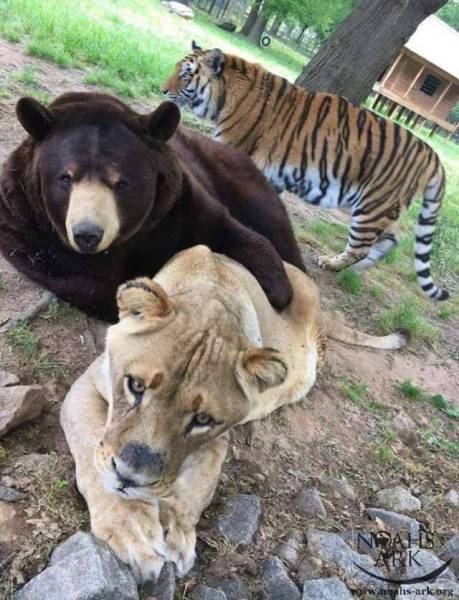 daily picdump 93 pics 45.html - 93 HD Photos | Premium Gallery 2016