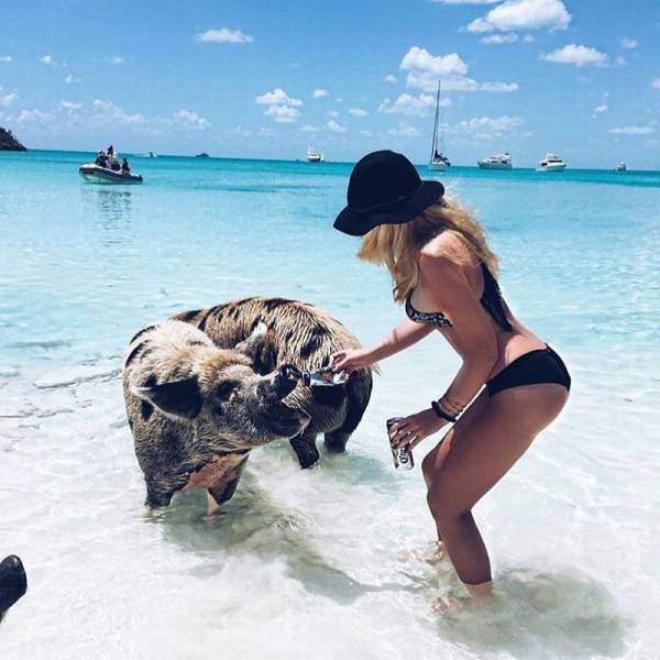 daily picdump 93 pics 45.html - 93 HD Photos | Premium Gallery 2016