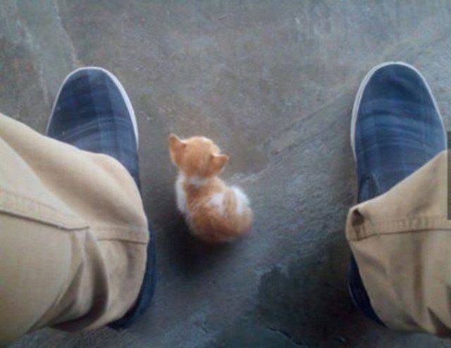 daily picdump 93 pics 45.html - 93 HD Photos | Premium Gallery 2016