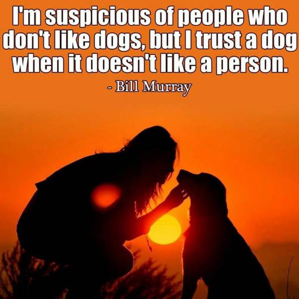 daily picdump 93 pics 45.html - 93 HD Photos | Premium Gallery 2016