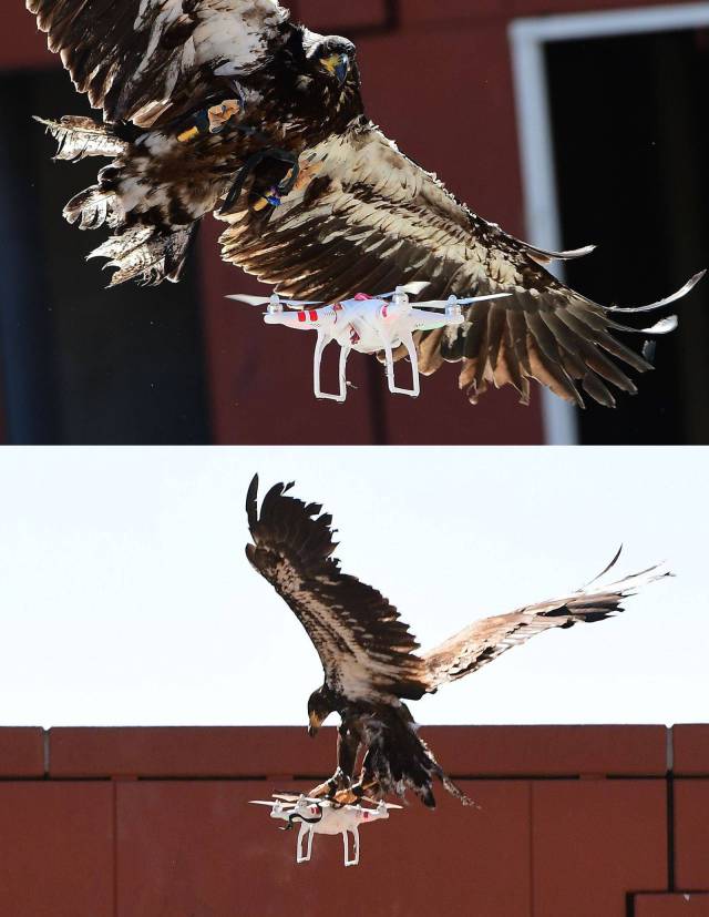 daily picdump 93 pics 45.html - 93 HD Photos | Premium Gallery 2016