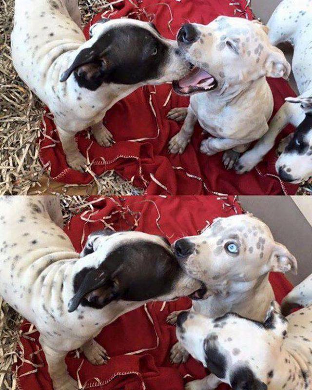 daily picdump 93 pics 45.html - 93 HD Photos | Premium Gallery 2016