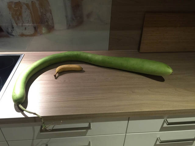 morning picdump 51 pics 1.html - 51 HD Photos | Premium Gallery 2016