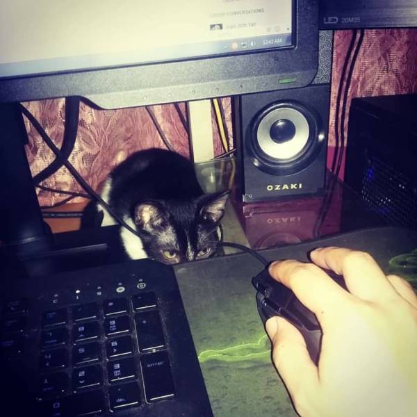 morning picdump 51 pics 1.html - 51 HD Photos | Premium Gallery 2016