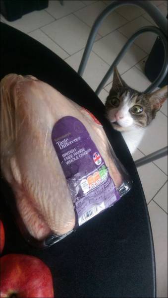 daily picdump 83 pics 39.html - 83 HD Photos | Premium Gallery 2016