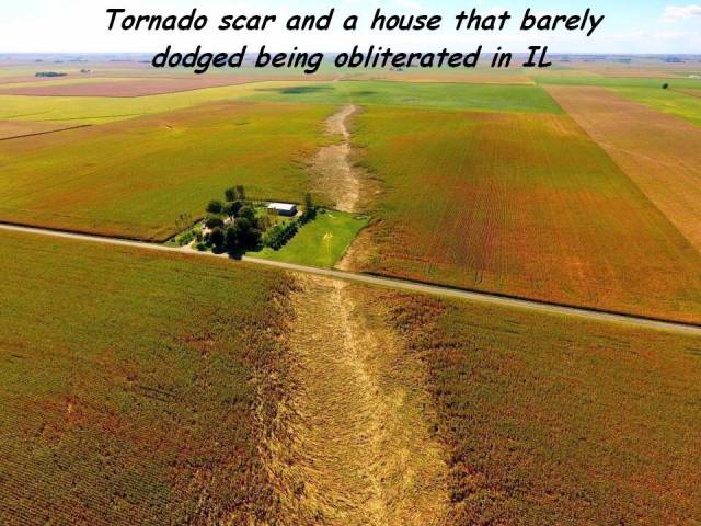 daily picdump 83 pics 39.html - 83 HD Photos | Premium Gallery 2016