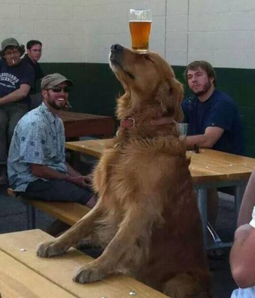 daily picdump 83 pics 39.html - 83 HD Photos | Premium Gallery 2016