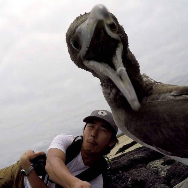 daily picdump 83 pics 39.html - 83 HD Photos | Premium Gallery 2016