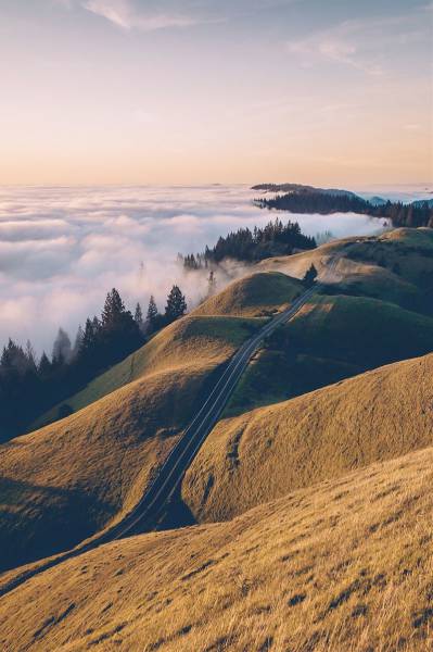 daily picdump 83 pics 39.html - 83 HD Photos | Premium Gallery 2016