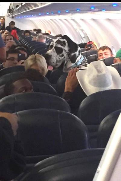 daily picdump 90 pics 35.html - 90 HD Photos | Premium Gallery 2016