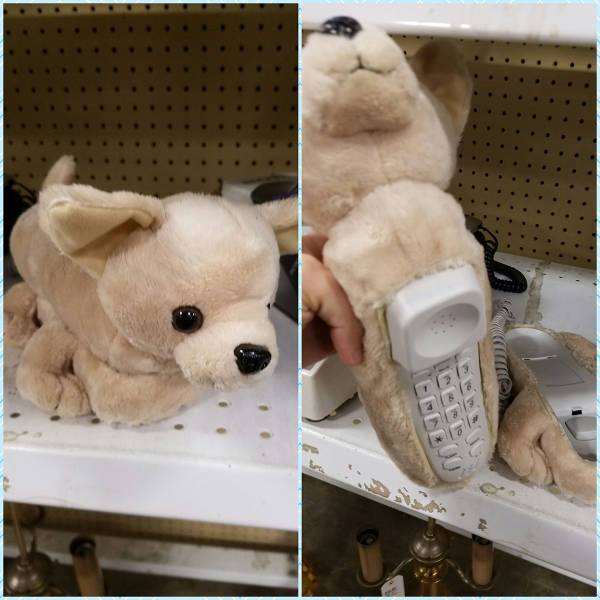 daily picdump 90 pics 35.html - 90 HD Photos | Premium Gallery 2016