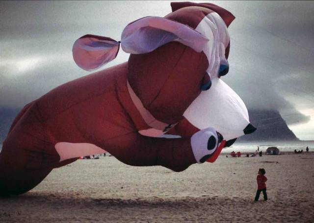 daily picdump 90 pics 35.html - 90 HD Photos | Premium Gallery 2016