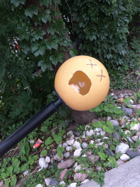 morning picdump 52 pics 5.html - 52 HD Photos | Premium Gallery 2016