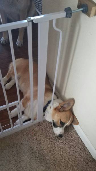 morning picdump 52 pics 5.html - 52 HD Photos | Premium Gallery 2016