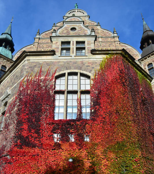 morning picdump 52 pics 5.html - 52 HD Photos | Premium Gallery 2016