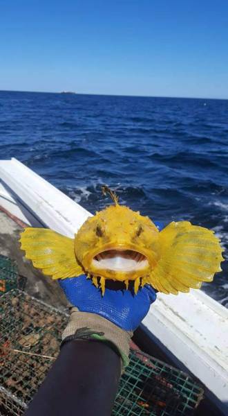 morning picdump 52 pics 5.html - 52 HD Photos | Premium Gallery 2016