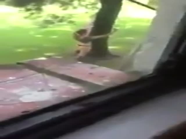 Random Girl Just Randomly Takes Multiple Photos Of Her Butt