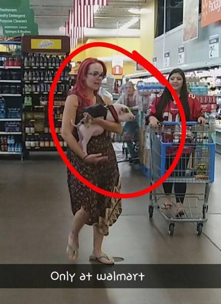 daily picdump 89 pics 26.html - 89 HD Photos | Premium Gallery 2016