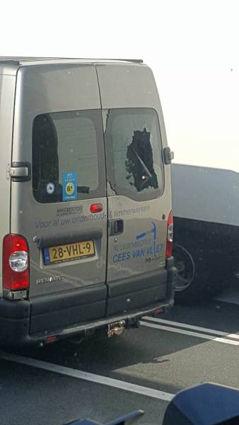 daily picdump 89 pics 26.html - 89 HD Photos | Premium Gallery 2016