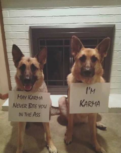 daily picdump 89 pics 26.html - 89 HD Photos | Premium Gallery 2016