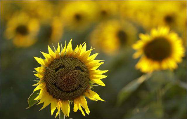 daily picdump 89 pics 26.html - 89 HD Photos | Premium Gallery 2016