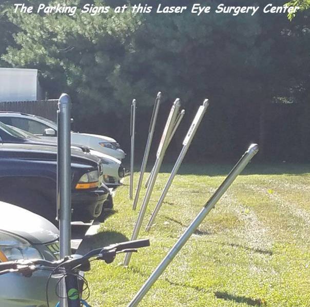 daily picdump 89 pics 26.html - 89 HD Photos | Premium Gallery 2016