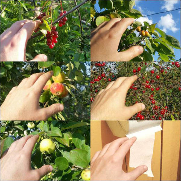 daily picdump 89 pics 26.html - 89 HD Photos | Premium Gallery 2016