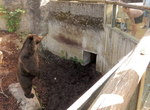 morning picdump 52 pics 12.html - 52 HD Photos | Premium Gallery 2016