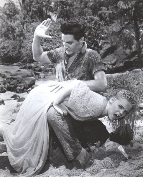 morning picdump 52 pics 12.html - 52 HD Photos | Premium Gallery 2016