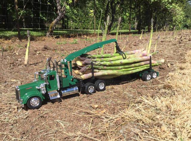 morning picdump 52 pics 12.html - 52 HD Photos | Premium Gallery 2016