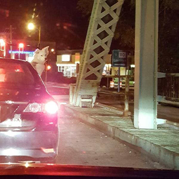 Daily Picdump [WEEKEND EDITION]