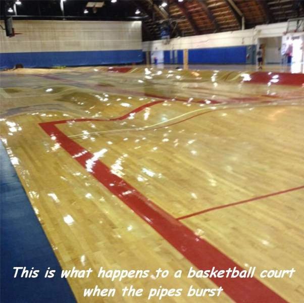 daily picdump weekend edition 61 pics 3.html - 61 HD Photos | Premium Gallery 2016