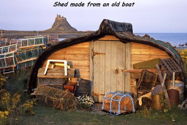 daily picdump weekend edition 61 pics 3.html - 61 HD Photos | Premium Gallery 2016